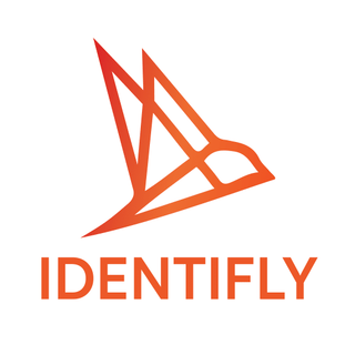Identifly | Identity Security Specialists - Leading Zero Trust implementation partner specialising in Identity and Access Management, Privileged Access Management, and Identity Governance.  A forward-thinking team of cybersecurity professionals driven by the desire to secure your environment.